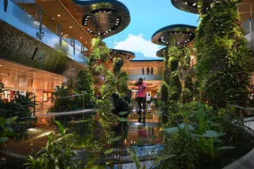 DIILHAM ALAM SEMULA JADI: Sebuah taman baru di kawasan transit selepas imigresen yang dipanggil ‘Dreamscape’ menggabungkan penggunaan kandungan digital dan pemeliharaan tumbuhan dan ikan.