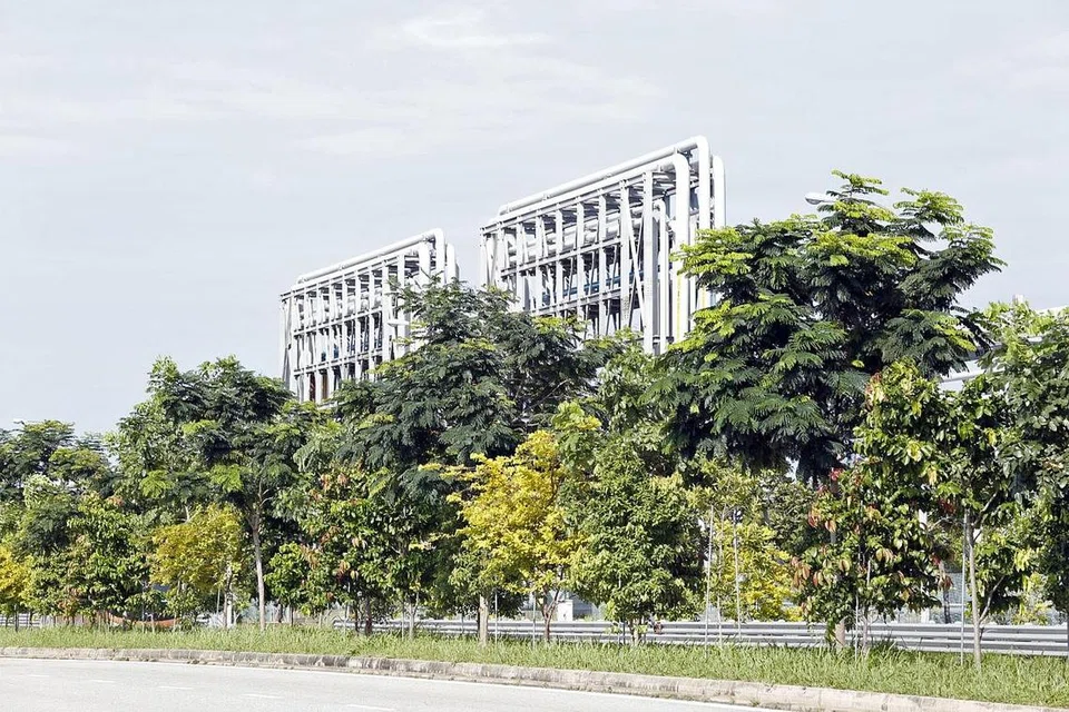 SEKITARAN MENGHIJAU: Pelbagai pokok ditanam secara bertingkat di Banyan Avenue di Pulau Jurong di mana NParks dan JTC ingin menanam sebanyak 44,000 pokok menjelang 2022. - Foto NPARKS