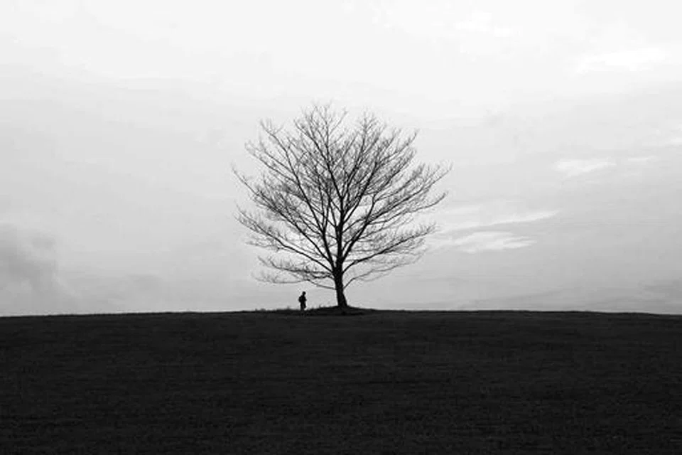 827aecc7-ccba-4ad8-9c6f-c1be9780c034