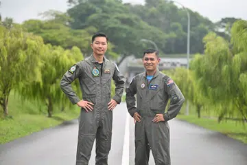 sarex malsing