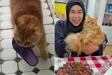 cik Noraini bersama kucing kesayangannya, Oyen, dan gelagatnya bersama selipar milik jiran yang dibawa balik ke rumah.