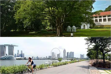DUA PILIHAN: Taman Fort Canning dan taman bunga bahagian timur, Gardens by the Bay, merupakan dua lokasi yang dianggap sesuai untuk dibangunkan sebagai Pusat Peringatan Perintis. - Foto