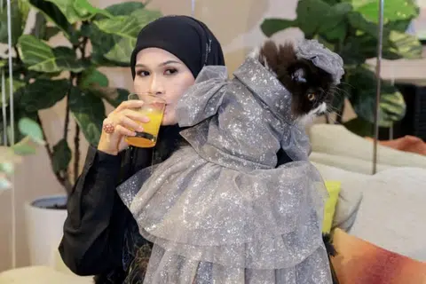 Usahawan Malaysia dan pemilik pakaian Muslimah Bawal Exclusive, Cik Haliza Maysuri, bersama kucing jenis baka ‘Persian’ miliknya yang diberi nama Money, semasa sambutan ulang tahun kucing itu di salah satu butik Louis Vuitton di Malaysia. Kucing itu memakai baju couture hasil buatan Rizalman Couture, milik pereka tersohor Malaysia, Encik Rizalman Ibrahim.