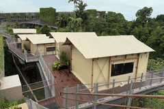 Colugo Camp, Mandai Lake Road, Glamping, Mandai Wildlife Reserve
