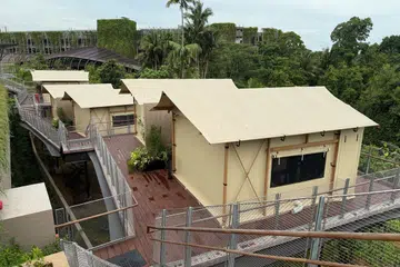 Colugo Camp, Mandai Lake Road, Glamping, Mandai Wildlife Reserve