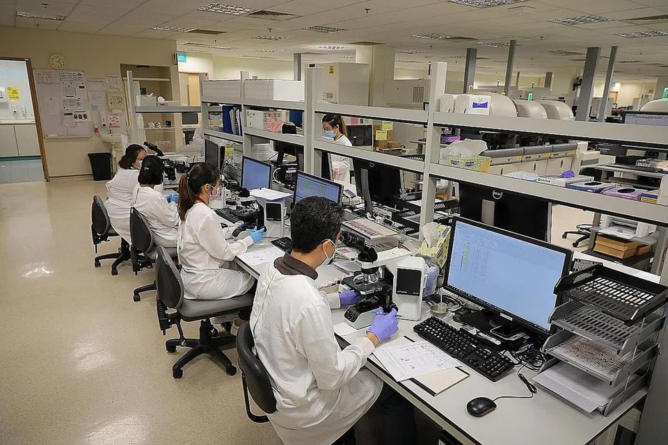 TEKNOLOGI BARU, PELUANG BARU: Ahli teknologi perubatan Hospital Tan Tock Seng (TTSH) di makmal hematologi menjalankan pemeriksaan filem darah menggunakan mikroskop cahaya. TTHS dan ASUS menjadi rakan kongsi dalam pembangunan Blade, alat kecerdasan buatan (AI) bagi mempercepat diagnosis darah yang tidak normal. - Foto fail 
