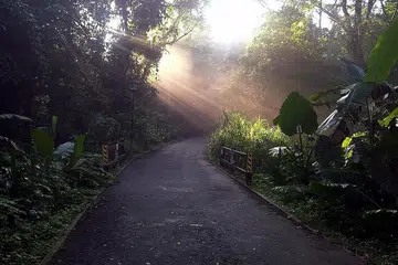 - Foto BM