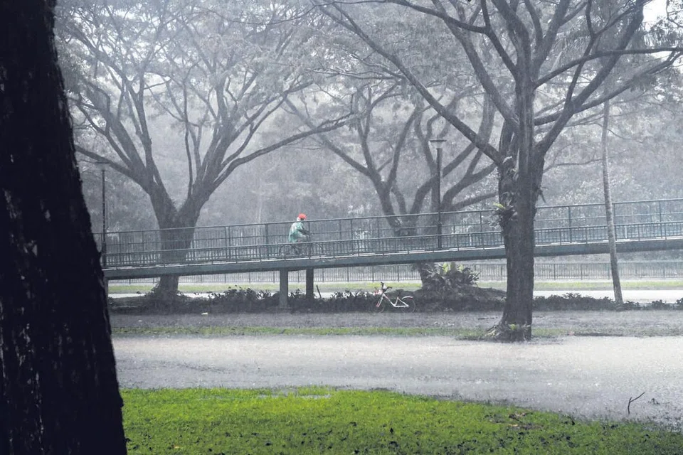 HUJAN MELERET: Kawasan berumput berdekatan jejatas ini dilihat ditakungi air semalam menyusuli hujan yang meleret tidak henti sejak kelmarin disebabkan 'lonjakan' musim tengkujuh, kata NEA. - Foto BM oleh ALPHONSUS CHERN