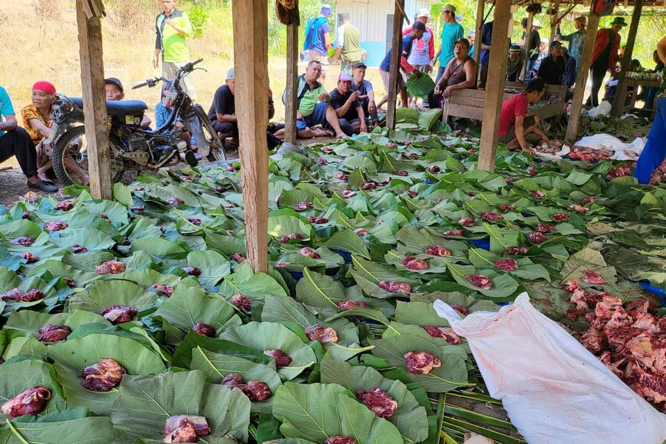 Salah satu dusun di Indonesia, di mana daging korban diagihkan dengan saksama di atas daun-daun pada acara korban tahun 2023.
