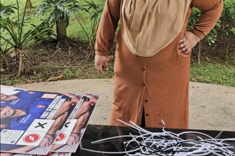 Dalam satu catatan di laman Facebook, Cik Liyana Dhamirah telah menurunkan sekitar 30 poster yang dikatakan melanggar peraturan pengiklanan pilihan raya pada 2 Mei.