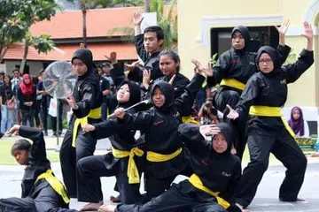 PERTUNJUKAN PENCAK SILAT: Aksi tangkas dalam persembahan silat daripada pelajar pengajian tinggi memukau tumpuan penonton yang hadir di acara Rentak Budaya yang diadakan di Taman Warisan Melayu, Sabtu lalu. Hadirin turut berpeluang menyertai silat tanding yang dibuka kepada orang ramai. - Foto-foto ihsan SHAFIQAH WALID (NTU MLCS)