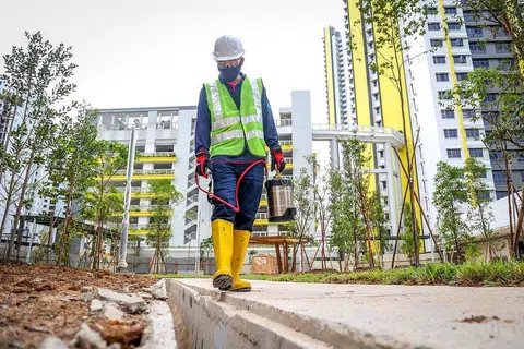 LANGKAH PENCEGAHAN: Usaha-usaha pencegahan dan kawalan denggi dilakukan di tapak binaan di Estet Clementi Peaks bulan lalu. - Foto ZAOBAO