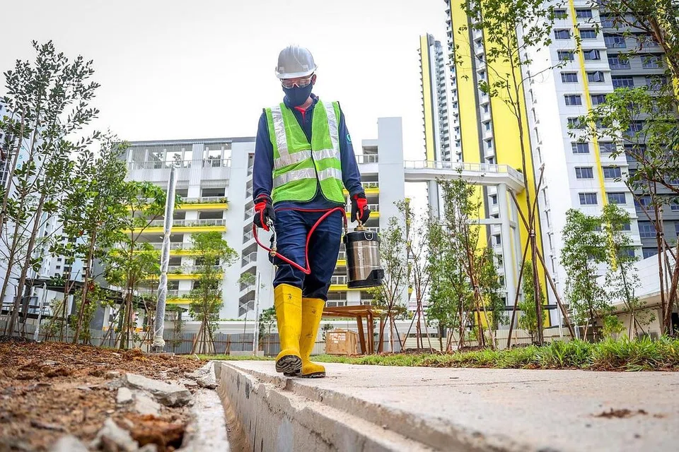 LANGKAH PENCEGAHAN: Usaha-usaha pencegahan dan kawalan denggi dilakukan di tapak binaan di Estet Clementi Peaks bulan lalu. - Foto ZAOBAO