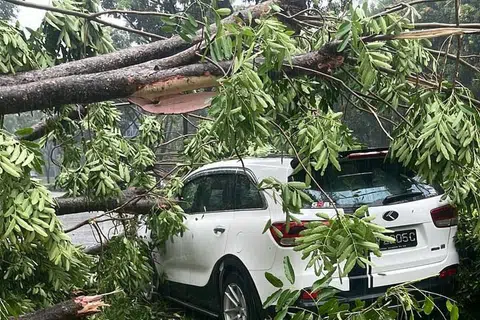 KEMALANGAN: Satu kereta putih dilihat remuk akibat pokok yang tumbang di CTE ke arah AYE pada pagi Rabu.
