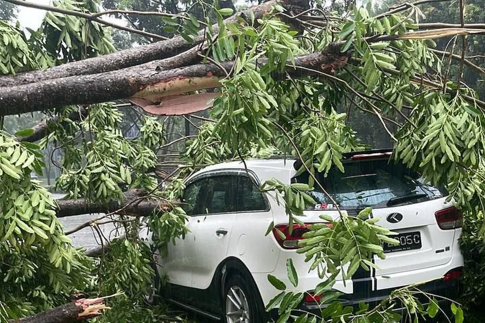 KEMALANGAN: Satu kereta putih dilihat remuk akibat pokok yang tumbang di CTE ke arah AYE pada pagi Rabu.