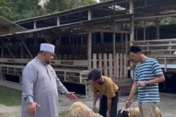 Pada awal Mei, Ustaz Mohamed Firdaus Masruhen (kiri), berada di Indonesia untuk memeriksa kesihatan kambing yang bakal disembelih pada Aidiladha Jun ini. 