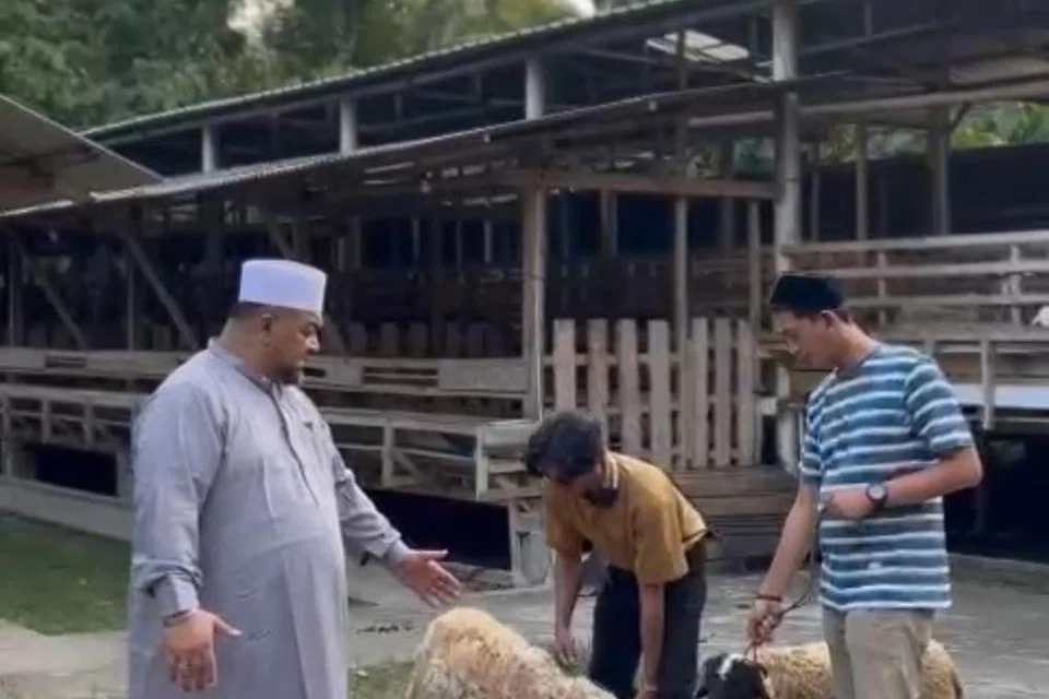 Pada awal Mei, Ustaz Mohamed Firdaus Masruhen (kiri), berada di Indonesia untuk memeriksa kesihatan kambing yang bakal disembelih pada Aidiladha Jun ini. 