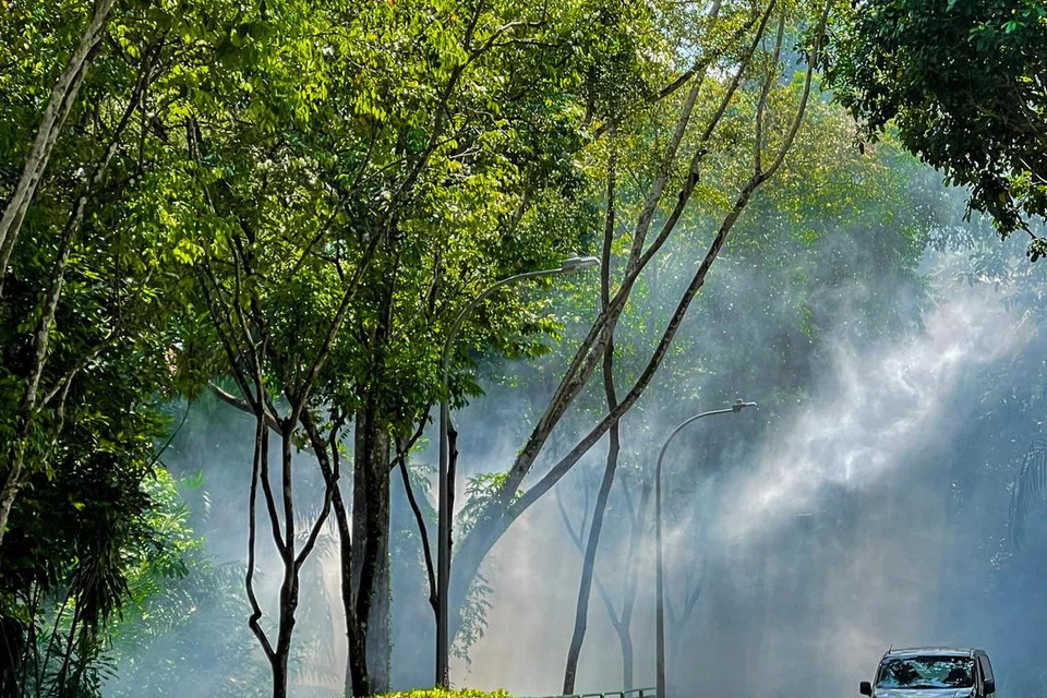 pelestarian, alam semula jadi, karya melayu, indonesia, sastera