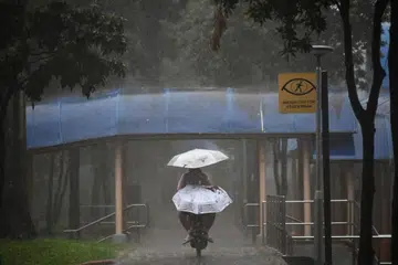 Hujan yang sangat lebat telah menyebabkan beberapa kawasan di Singapura mengalami banjir kilat pada November 16 dan 17.Cuaca hujan lebat ini dijangka akan berterusan akibat musim tengkujuh pada November 