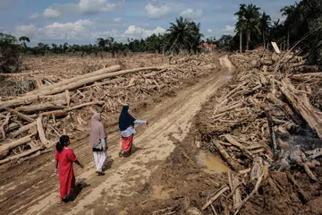 Beberapa wanita berjalan di atas jalan yang telah dibersihkan daripada pokok-pokok tumbang selepas banjir kilat melanda Aceh Tamiang di Sumatera Utara pada 10 Disember 2025.