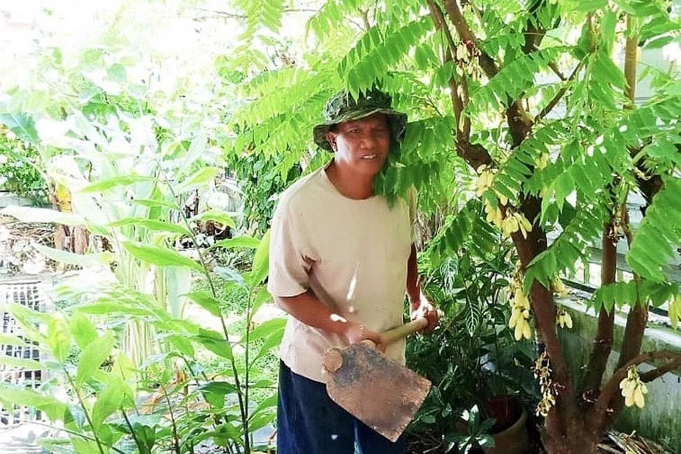 RESAH: Mantan wartawan Encik Saini Salleh berkata tanaman di rumahnya di Johor Bahru kini sudah menjadi 'hutan,' tidak terurus kerana tidak dikunjungi selama lebih enam bulan. Foto Encik Saini diambil sebelum pandemik Covid-19. - Foto ihsan SAINI SALLEH