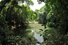 Tadahan air di Keppel Hill yang sudah lama dilupakan (gambar hiasan).