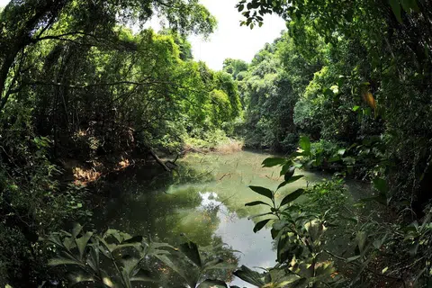 Tadahan air di Keppel Hill yang sudah lama dilupakan (gambar hiasan).