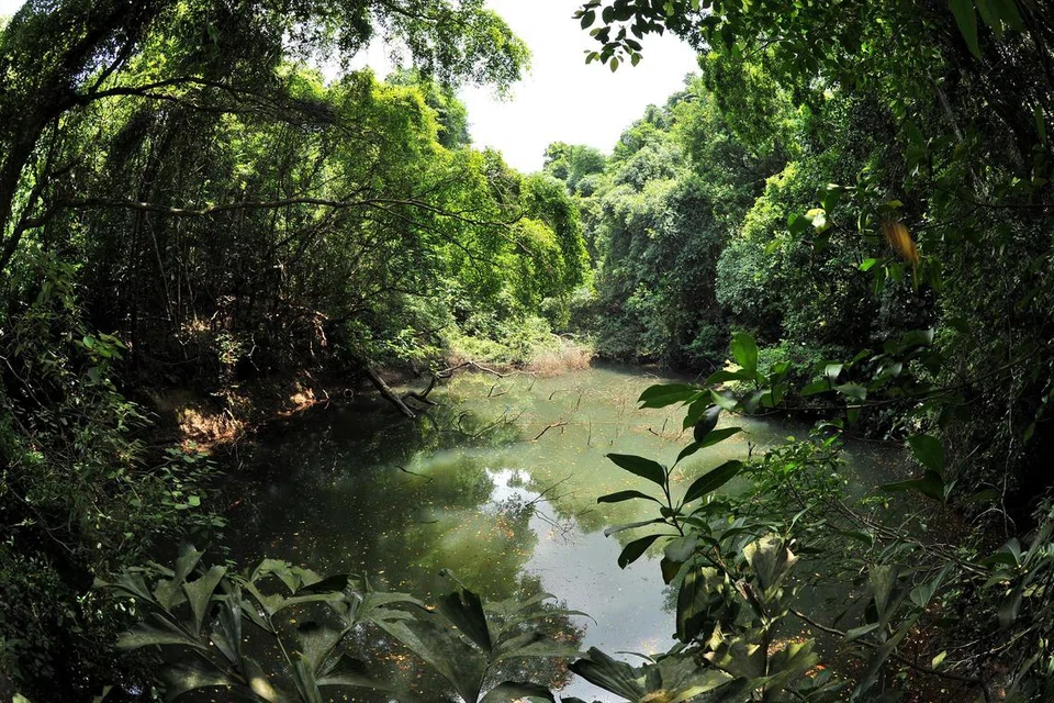 Tadahan air di Keppel Hill yang sudah lama dilupakan (gambar hiasan).