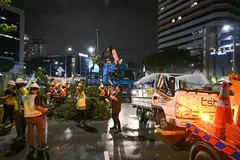 ALIH LORI: Pekerja dilihat mengalihkan lori yang dihempap pokok tumbang di Ophir Road