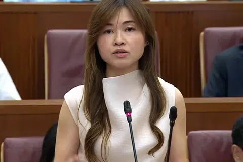 Tin Pei Ling, parlimen, gpc, macpherson