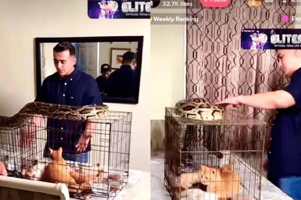 Foto TANGKAP LAYAR INSTAGRAM AARON AZIZ