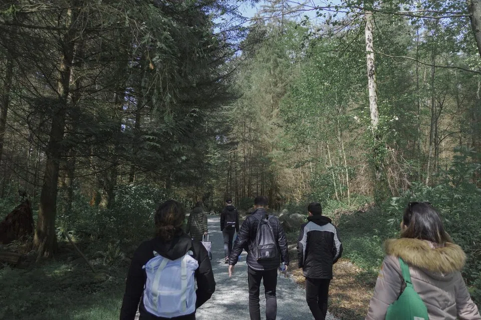 Menikmati keindahan alam semula jadi dengan berjalan-jalan santai di hutan yang rimbun bersama rakan-rakan.