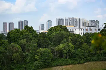 Sekurang-kurangnya 18 soalan telah dikemukakan berhubung perancangan pembangunan semula Hutan Maju dan Gillman Barracks.