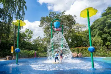 Taman permainan air, Waterplay, di Taman Kanak-Kanak Jacob Ballas di Kebun Bunga Singapura kini seluas 500 meter persegi, lebih tiga kali ganda saiz sebelumnya.