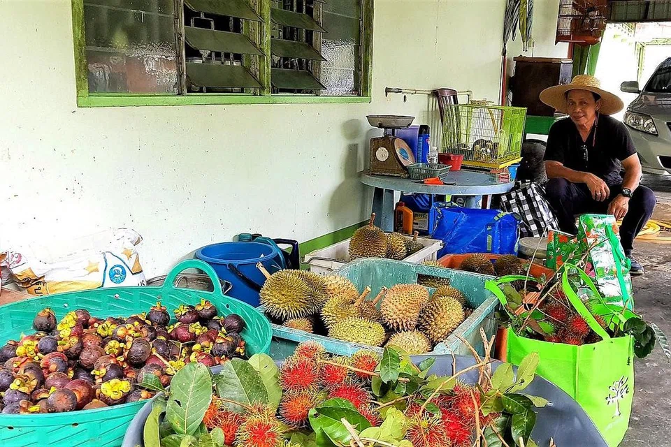 HASIL TUAIAN: Inilah antara buah-buahan - rambutan, manggis, durian - yang dituai di kebun belakang rumah arwah datuk rakan penulis yang dikenali sebagai Cik Rosnah. - Foto ihsan SAHARI SARIMAN
