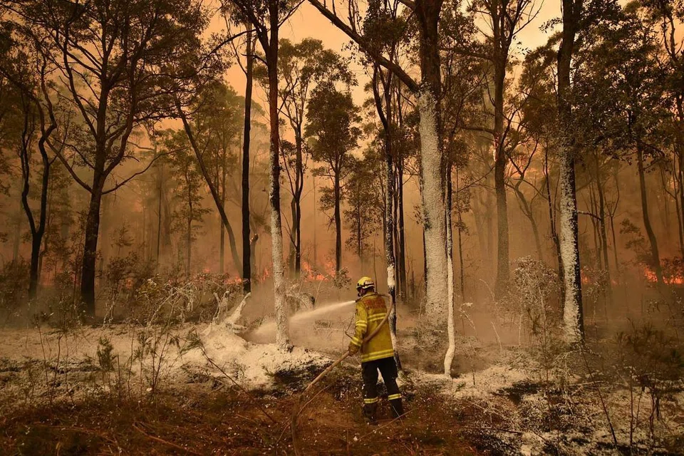 KEBAKARAN HUTAN: Gambar dipetik pada 1 Januari tahun ini menunjukkan seorang anggota bomba menyembur buih penahan api di kawasan hutan di pekan Jerrawangala, New South Wales, Australia. - Foto AFP 