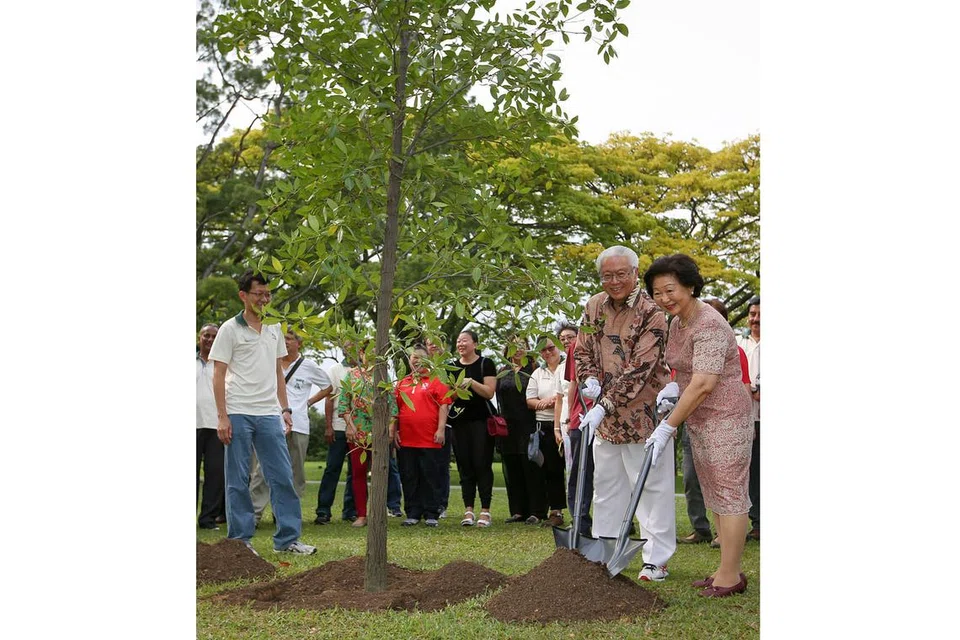 TERUSKAN VISI MENDIANG ENCIK LEE: Presiden Tony Tan dan isterinya, Cik Mary Tan (satu dan dua dari kanan) menanam pokok tembusu di perkarangan Istana semalam. - Foto SPH
