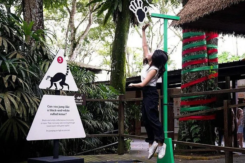 Perayaan Wild-erland. - Foto MANDAI WILDLIFE GROUP