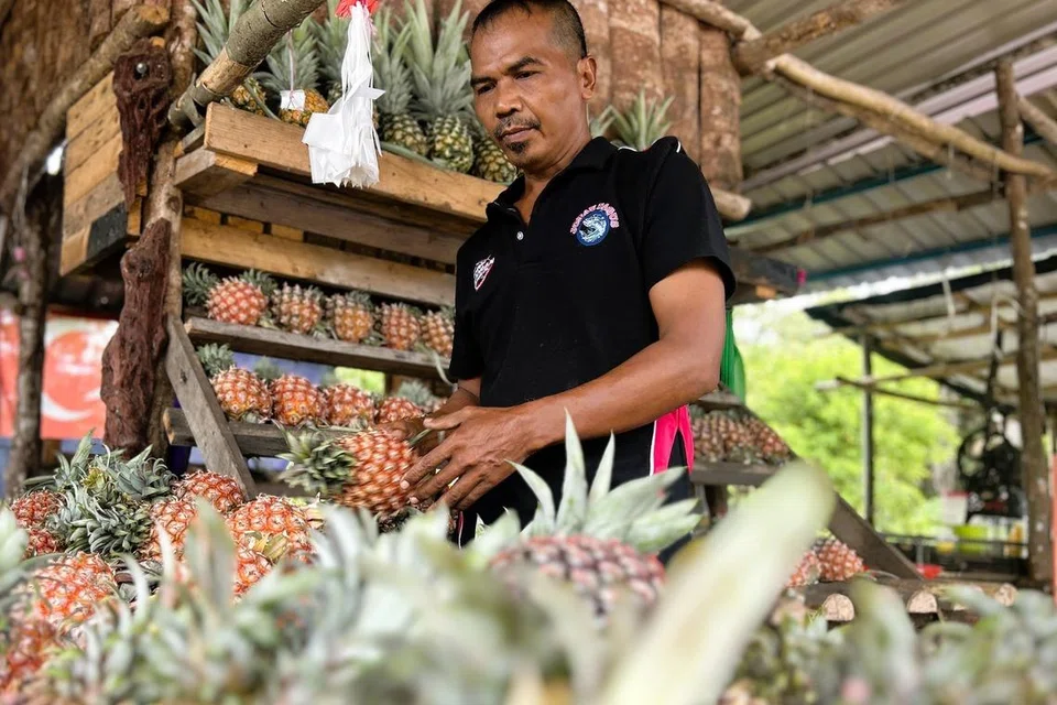 Encik Habib Abdullah, nanas, Ayer Baloi, Pontian, kuih raya johor, lempuk durian asli pontian, tart nanas md2, kek lapis pasir gudang, borong kuih raya singapura, pembekal inti nanas, persiapan raya johor bahru, harga lempuk durian 2026, kerjaya iks johor, produk hiliran durian.