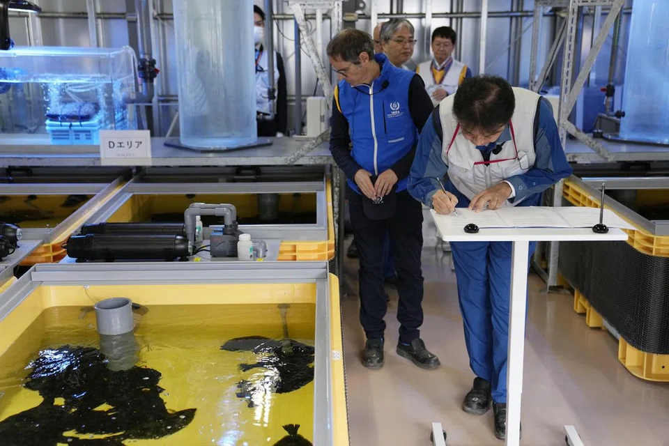 MENJAMIN KESELAMATAN: Pengarah Agensi Tenaga Atom Antarabangsa (IAEA), Dr Rafael Mariano Grossi (tengah), meninjau tangki ikan selepas menandatangani perjanjian bersama bagi menangani masalah pelepasan air dari loji Fukushima yang rosak.  