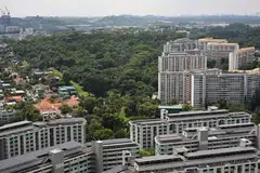 Bagi Hutan Maju, kumpulan pencinta alam meminta koridor hijau diperluas bagi mewujudkan kawasan tumbuhan yang berterusan untuk haiwan mencari makanan.