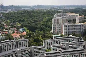 Bagi Hutan Maju, kumpulan pencinta alam meminta koridor hijau diperluas bagi mewujudkan kawasan tumbuhan yang berterusan untuk haiwan mencari makanan.