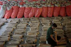 LARANGAN TEGAS: Mereka yang didapati bersalah boleh dikenakan tuduhan di bawah Akta Spesis Terancam (Import & Eksport) dan boleh dikenakan saman sehingga $10,000 bagi setiap spesimen, tidak melebihi $100,000. - Foto BH oleh JASON QUAH
