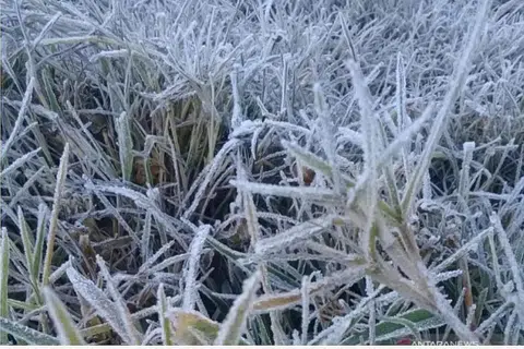 PUNCA EMBUN BEKU: Beberapa laporan berkata penurunan suhu hampir sifar darjah Celsius di Kampung Ranupani adalah punca embun beku. - Foto INTERNET