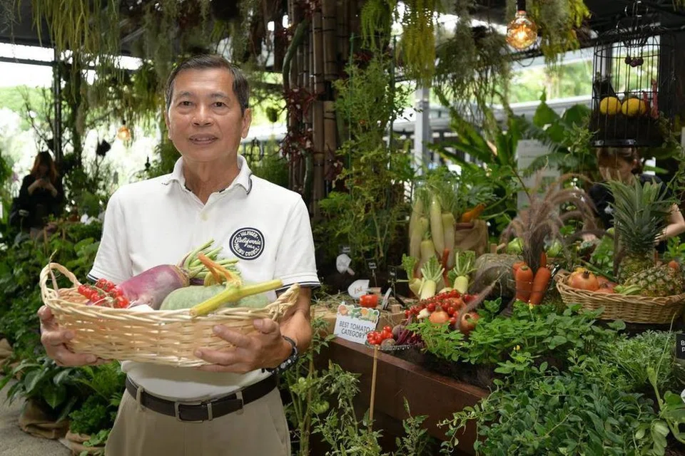 Pekebun, Encik Loh Wee Tat, 67 tahun, bersama hasil tuaiannya yang memenangi anugerah dalam Kategori Makanan Terbaik untuk Tomato, Tanaman Bawah Tanah, dan Labu.