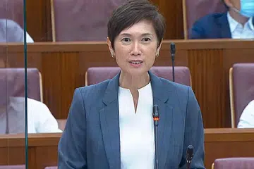 "Pemerintah sedang mengkaji langkah-langkah di bawah perundangan yang akan membolehkannya memperolehi maklumat untuk menyiasat jika kempen sedemikian dilaksanakan pelaku asing untuk menumbangkan politik domestik, mematahkan penyebarannya dan memberikan mesej balas untuk memberi amaran kepada rakyat Singapura." - Menteri Kedua Ehwal Dalam Negeri, Cik Josephine Teo. 