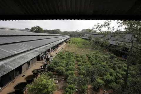 Tempat di Malaysian Feedmills Farms yang dipercayai digunakan untuk menyimpan bahan binaan. FOTO: FAIL ST