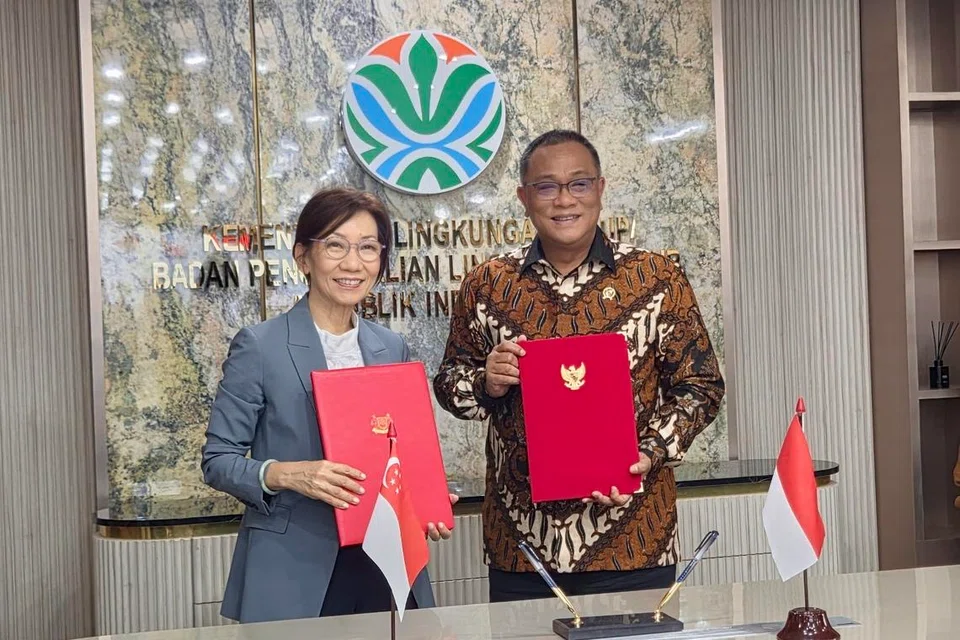 kerjasama, alam sekitar, Singapura- Indonesia, kemampanan alam sekitar, MOU alam sekitar