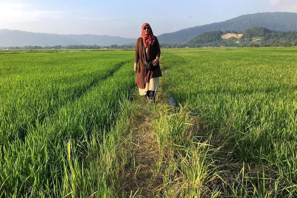 SAUJANA MATA MEMANDANG: Pemandangan sawah menghijau terbentang luas di daerah Mahsuri, Langkawi, memberi terapi kepada jiwa dan minda penulis. - Foto-foto ihsan HANIM MOHD SALEH