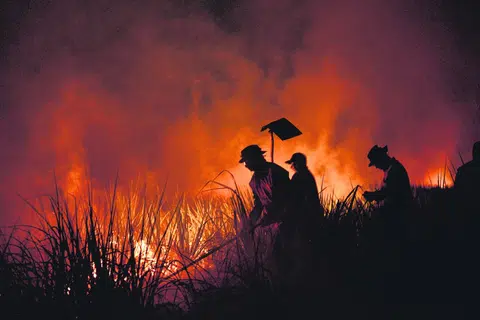 KEBAKARAN HUTAN: Anggota bomba memadamkan kebakaran hutan yang melanda Amazon Bolivia, San Buenaventura, Bolivia, pada 22 November 2023.